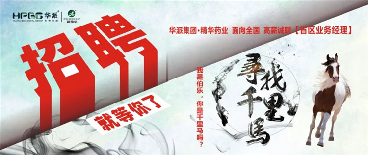 寻找千里马 | 华派集团•NG娱乐药业面 向天下高薪诚聘【省区营业司理】 我是伯乐，，，，，，，，你是千里马吗？？？？？？？？