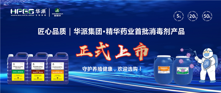 匠心品质｜华派集团·NG娱乐药业首批消毒剂产品正式上市，，，，，，，，守护养殖康健，，，，，，，，接待选购！