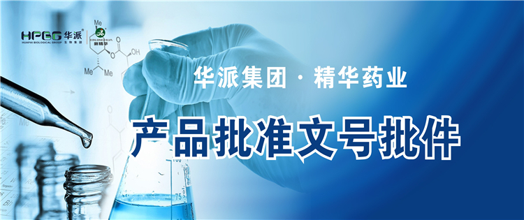 产品资质 | 华派集团·NG娱乐药业产品批准文号批件