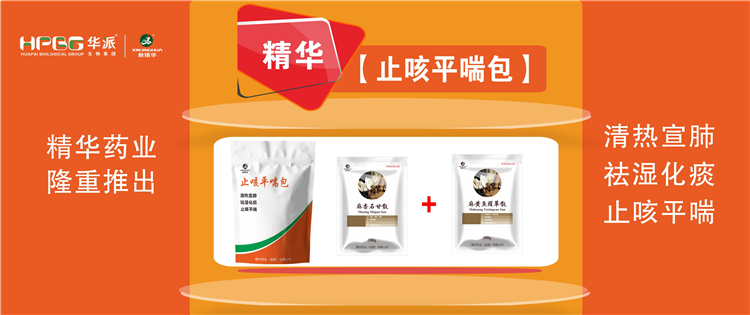 科普：畜禽呼吸道疾病的防控手艺 |【止咳平喘包】清热宣肺、祛湿化痰、止咳平喘，，，，，畜禽呼吸道疾病引起的种种咳喘防控首。。。。。